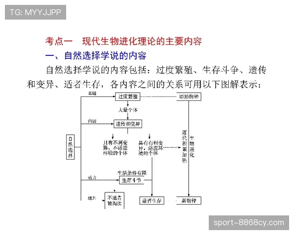 乌加特与赖斯:现代后腰的两种进化路径 乌加特与赖斯:现代后腰的两种进化路径